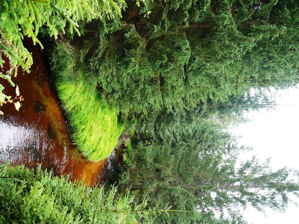 Jozefina Apartament'S Z Dotepem Do Mini Spa Szklarska Poręba Esterno foto